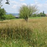 DSC03358.JPG