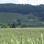 DSC03325.JPG