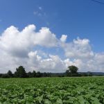 DSC03337.JPG